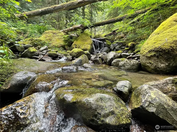 0 XX Anthracite Creek Road, Skykomish, WA 98288