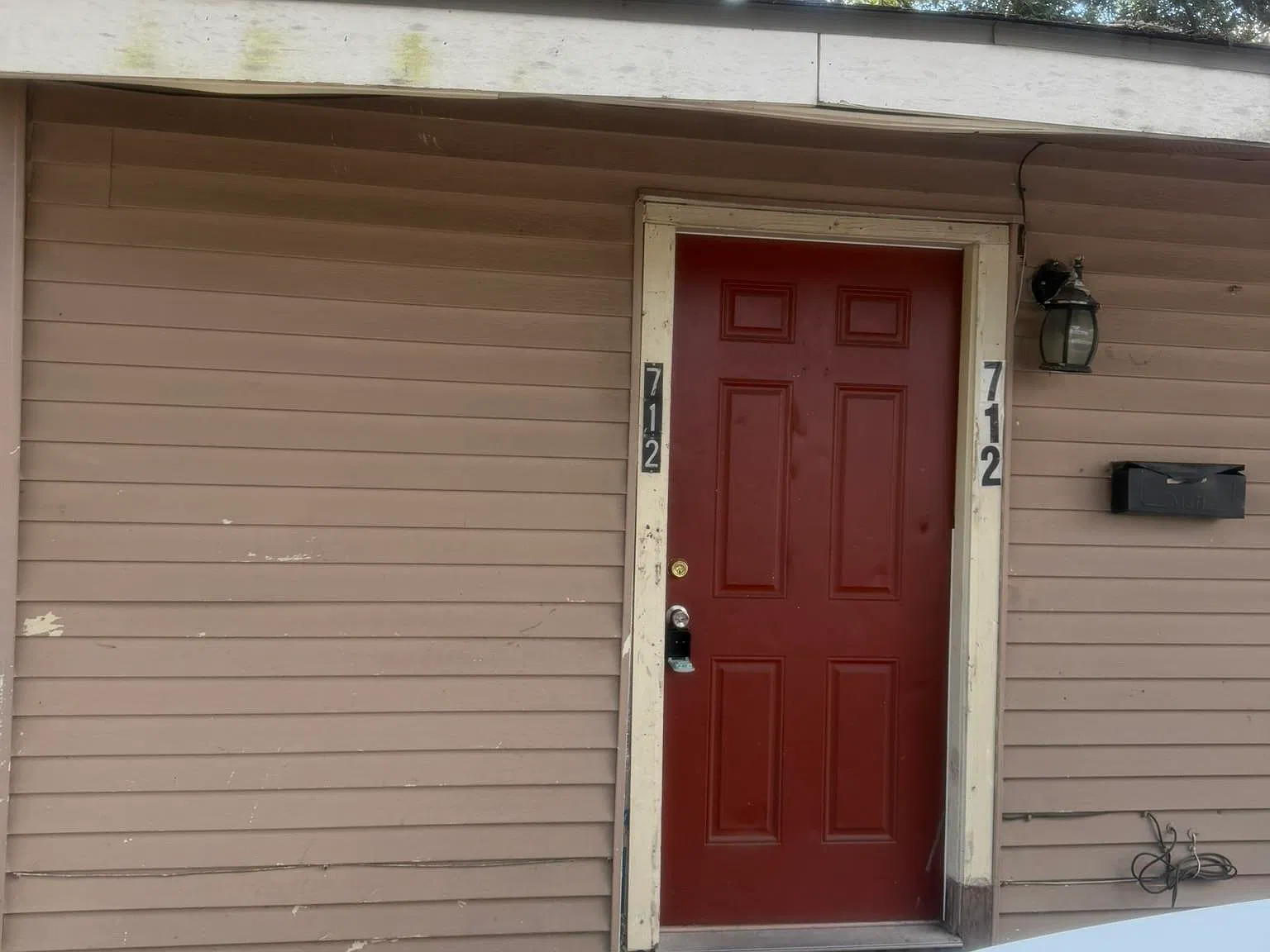 1 bed, $800 — Photo 2