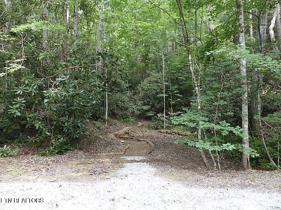 4th image of 0 Walnut Flats Rd