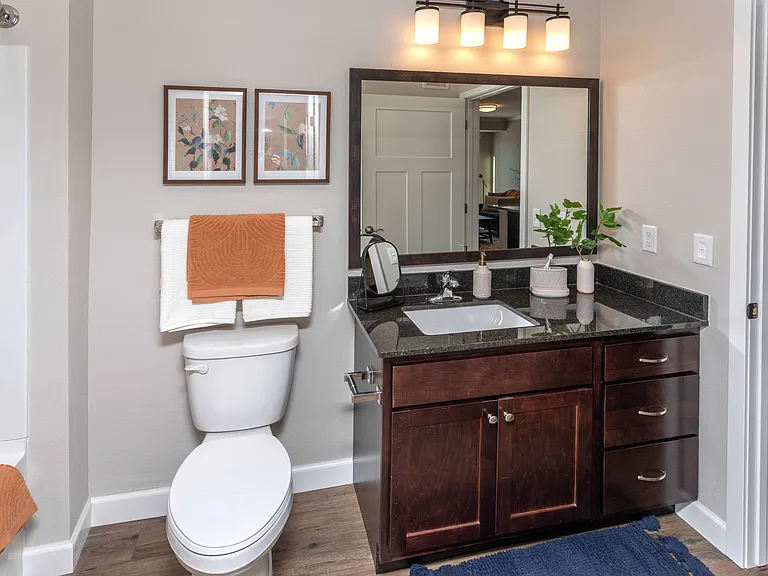 Granite-topped vanities