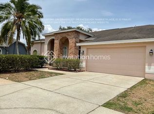 10117 Vista Pointe Dr, Tampa, FL 33635