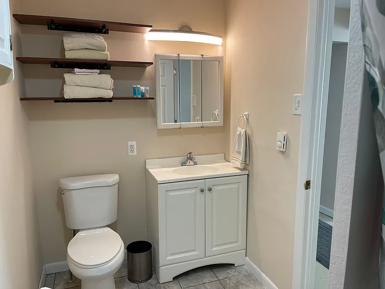 Better look at the Main Bedroom Bathroom