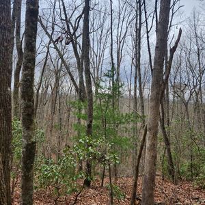 Tower Rd, Mineral Bluff, GA, 30559