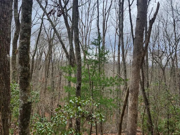 Tower Rd, Mineral Bluff, GA 30559