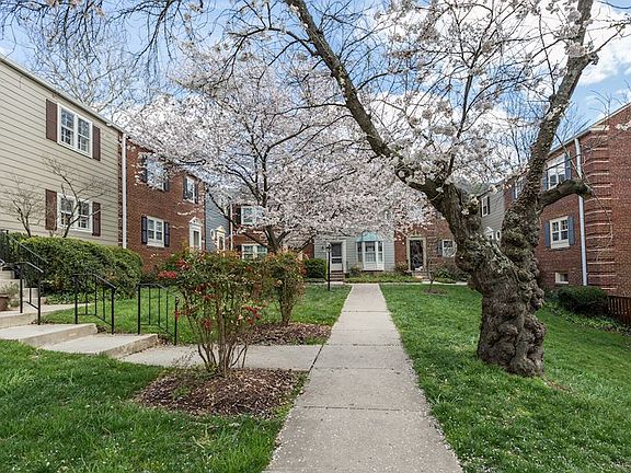 Welcome to Kenwood Forest