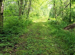 8358 N North End Rd, Mercer, WI 54547