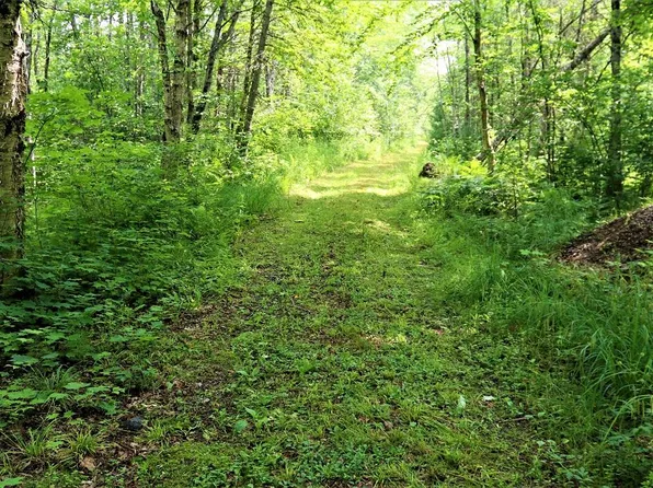 8358 N North End Rd, Mercer, WI 54547