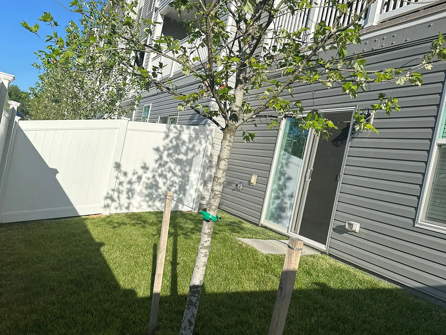 1 bed, 2699 sqft, $2,200 — Photo 3