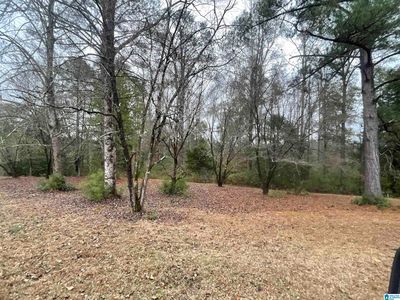 0 Friendship Cir #0, Clanton, AL, 35045