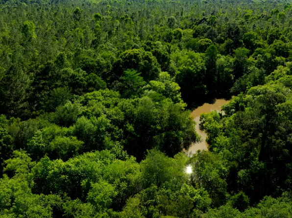 0 Robinson Rd, Baconton, GA 31716
