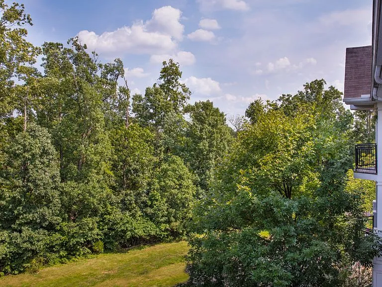 Scenic Wooded Views