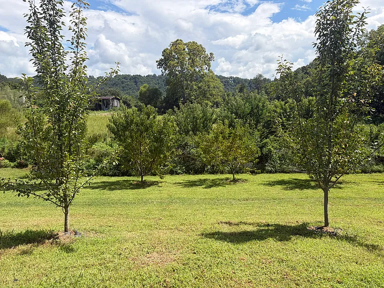 2640 Upper Middle Creek Rd #2 — Photo 15