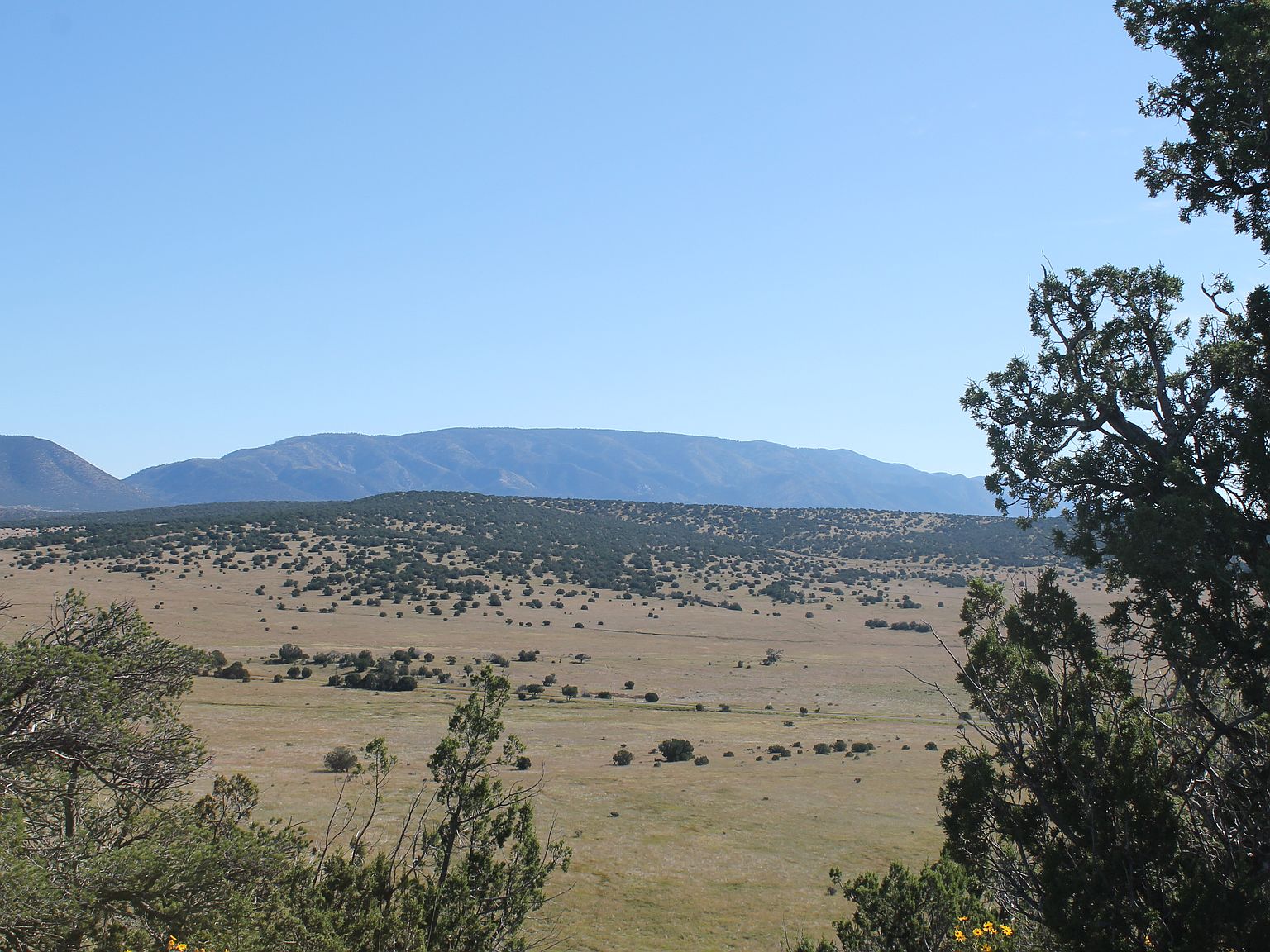 246 Highway, Capitan, NM 88316 MLS 11111134 Zillow