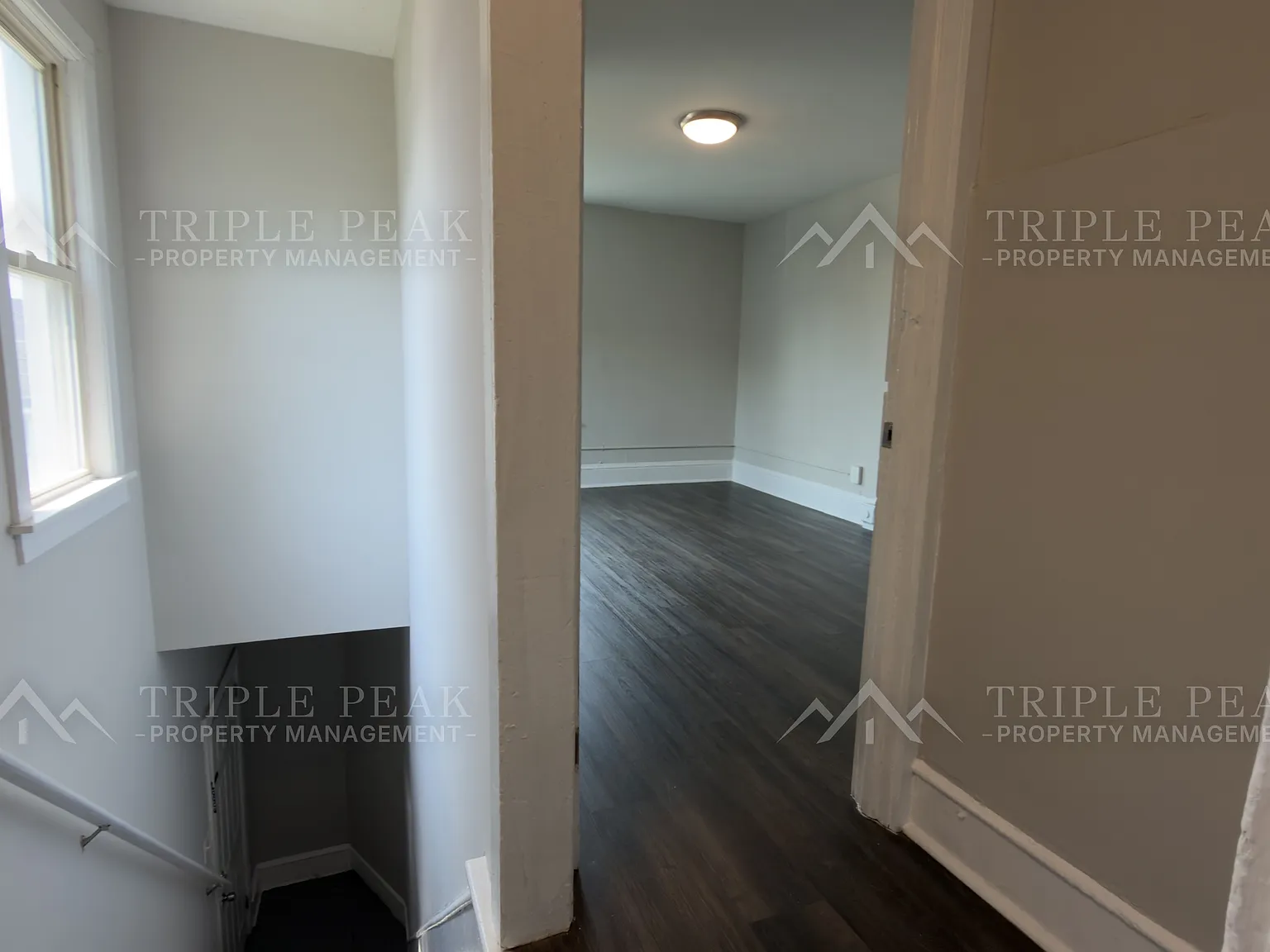 293 & 297 N Laurel St, Bridgeton, NJ - LPP - 3 — Photo 4