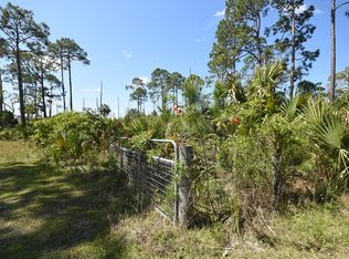 276 Southwest Ave, Steinhatchee, FL 32359