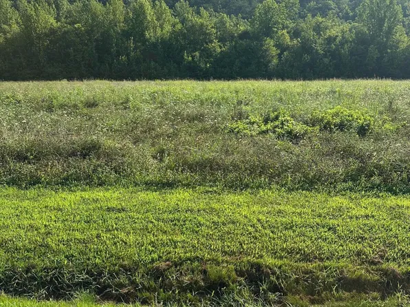 LOT 146 River Rapids Way, Del Rio, TN 37727