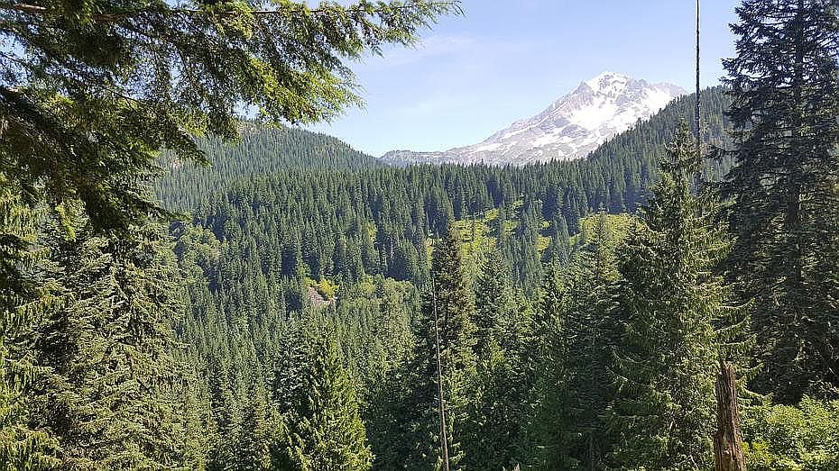 2nd image of 20180 E Lolo Pass Rd