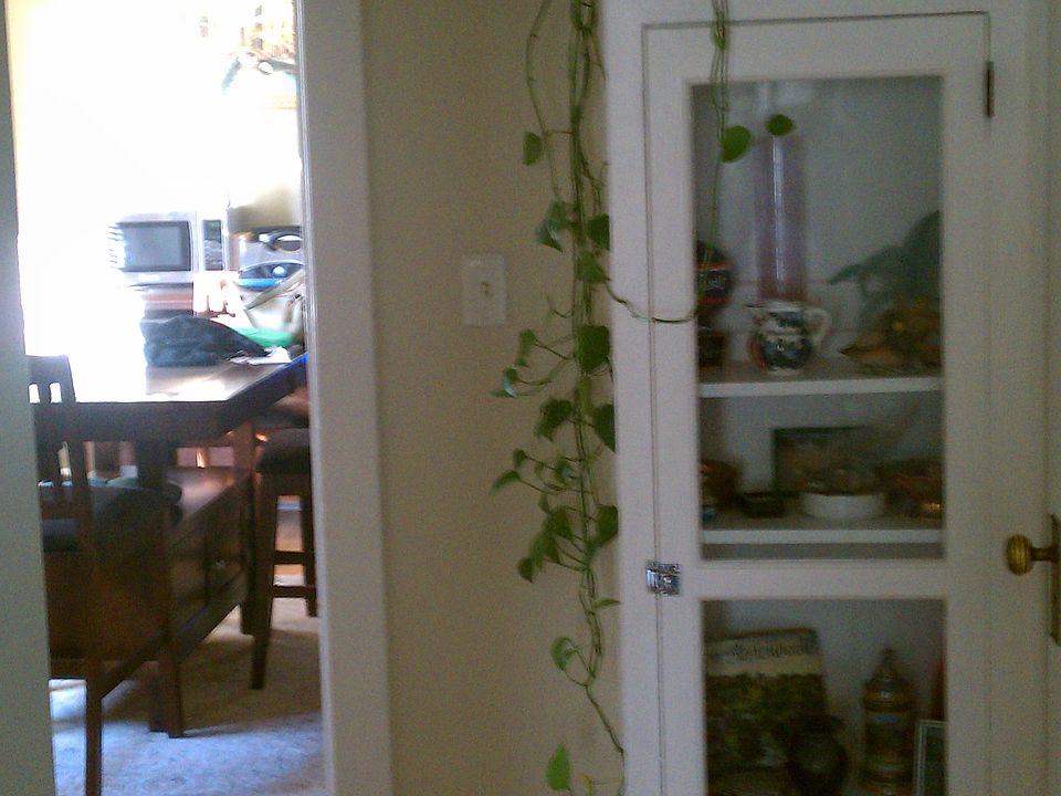 1st image of 318 N J St #318