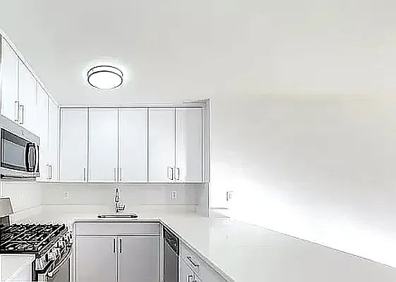 4th image of 207 W 18th St #12
