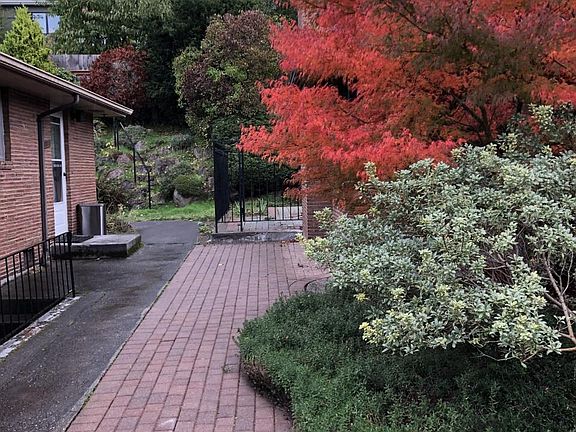 Garden courtyard-like paved walkway to entry