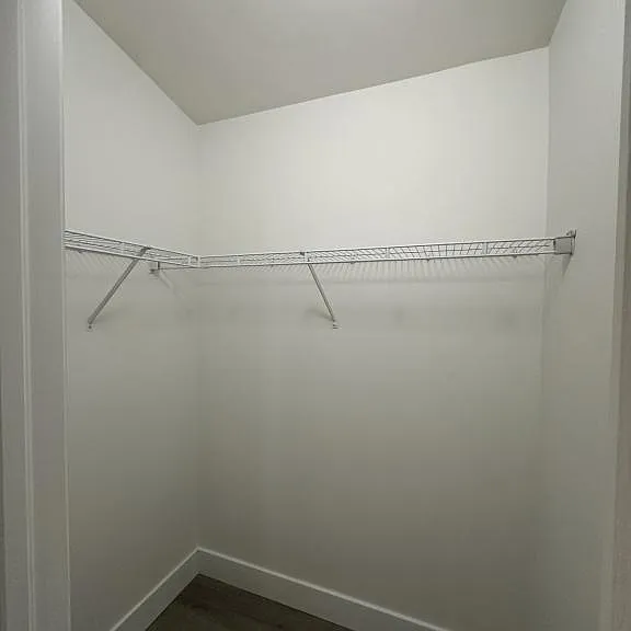 15752 Fishhawk Falls Dr — Photo 19