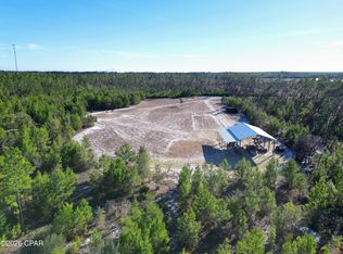 16078 NW Long Branch St, Bristol, FL 32321