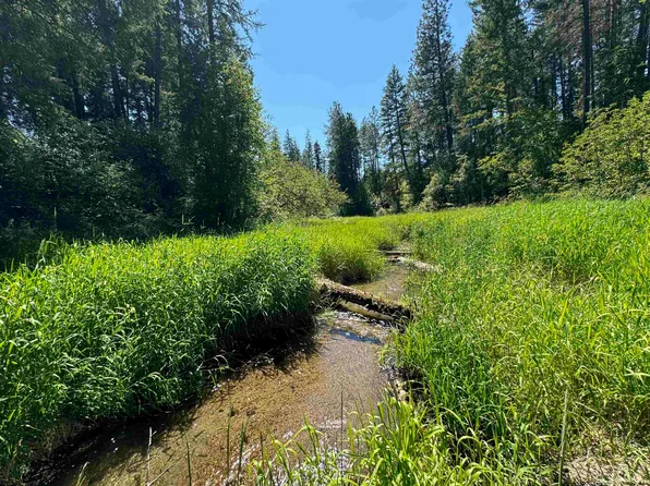 510 N A St Lot 6, Springdale, WA 99173