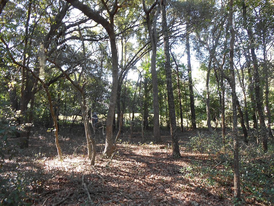 Home site looking to fairway