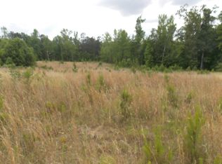 13 Buckhead Rd, Tignall, GA 30668