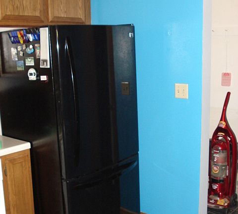 Kitchen fridge