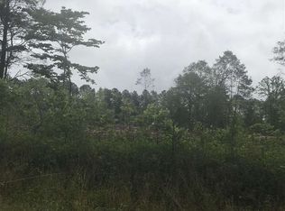 2831 Price House Rd, Woodruff, SC 29388