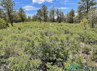 130 Melory Dr, Timberon, NM 88350