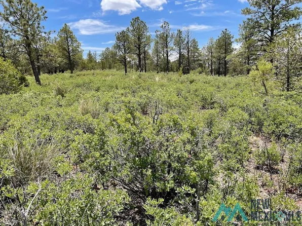 130 Melory Dr, Timberon, NM 88350