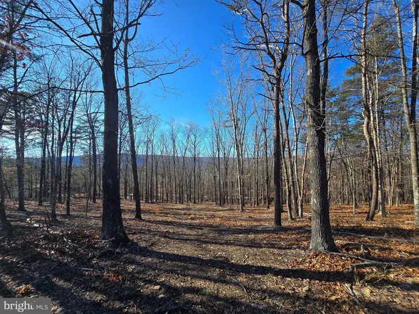 Timber Ridge Road Pcl #17.1, Berkeley Springs, WV 25411