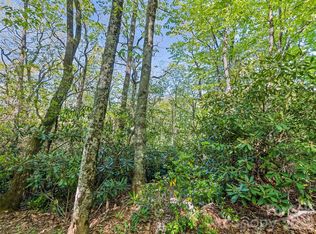 19 Sleepy Hollow Dr, Waynesville, NC 28785