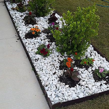 Curb appeal in front