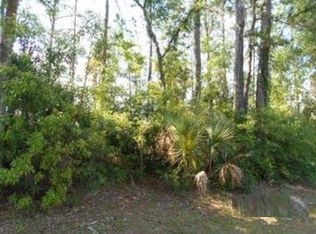1041 NE 6th Blvd, Williston, FL 32696
