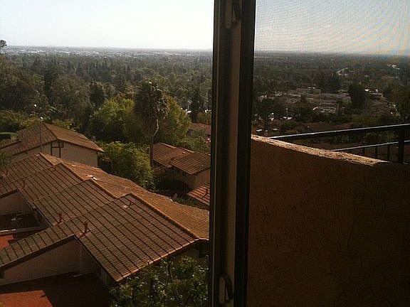 Living Room View