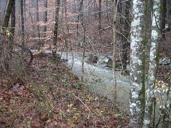 4th image of 1418 Northcutts Cove Ln