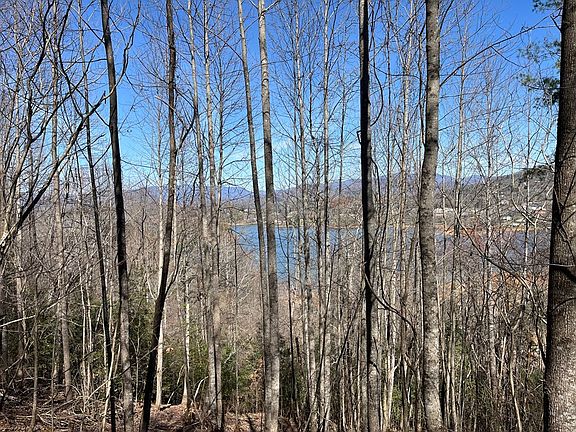 4th image of Brer Fox Ridge Rd