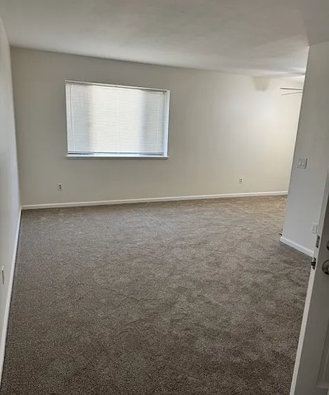 219 Daisy Ave — Photo 5
