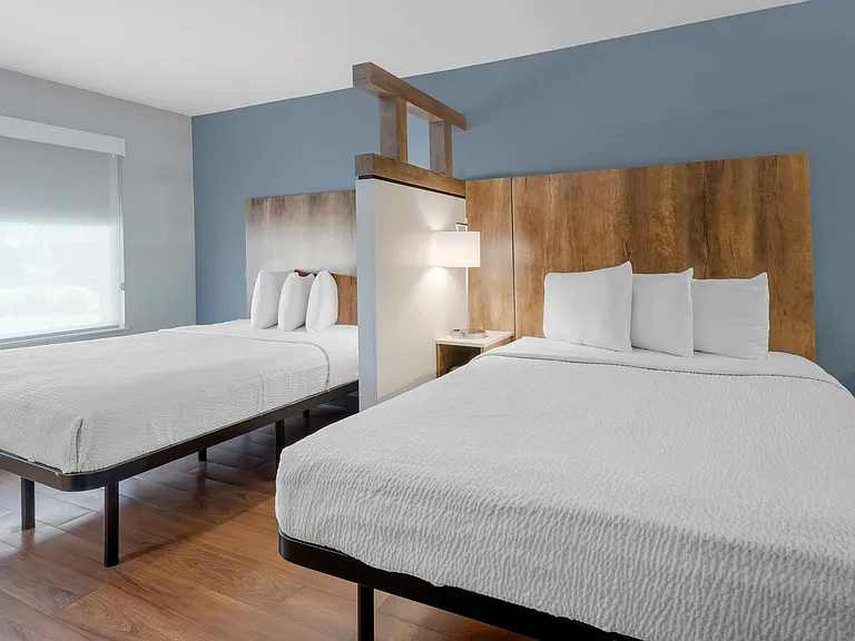 Studio Suite - 2 Queen Beds