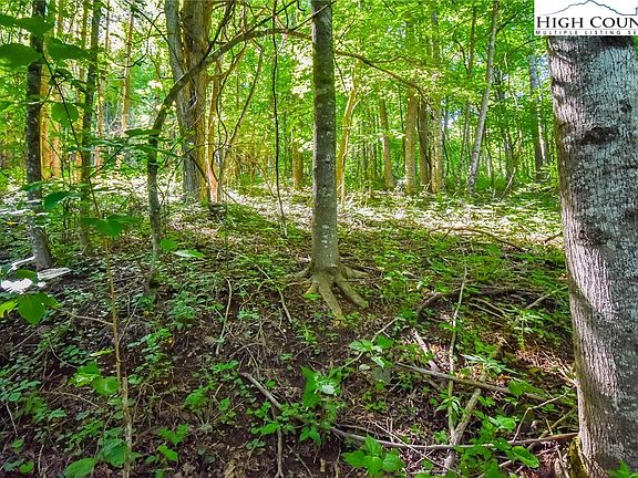 3rd image of TBD Laurel Creek Rd. Extension