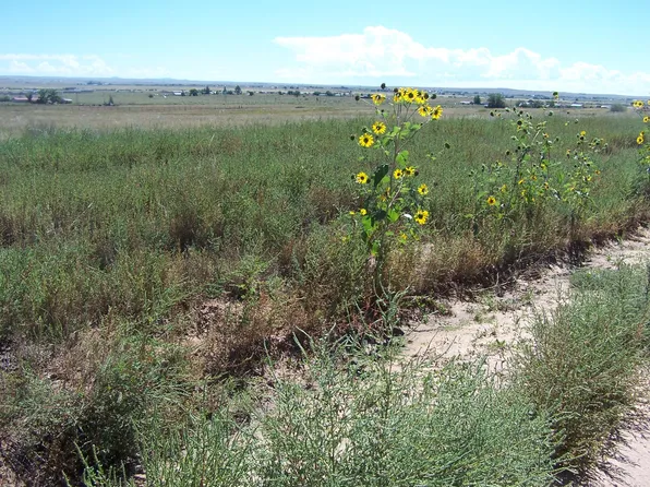 Leonard Aka Bay, Moriarty, NM 87035