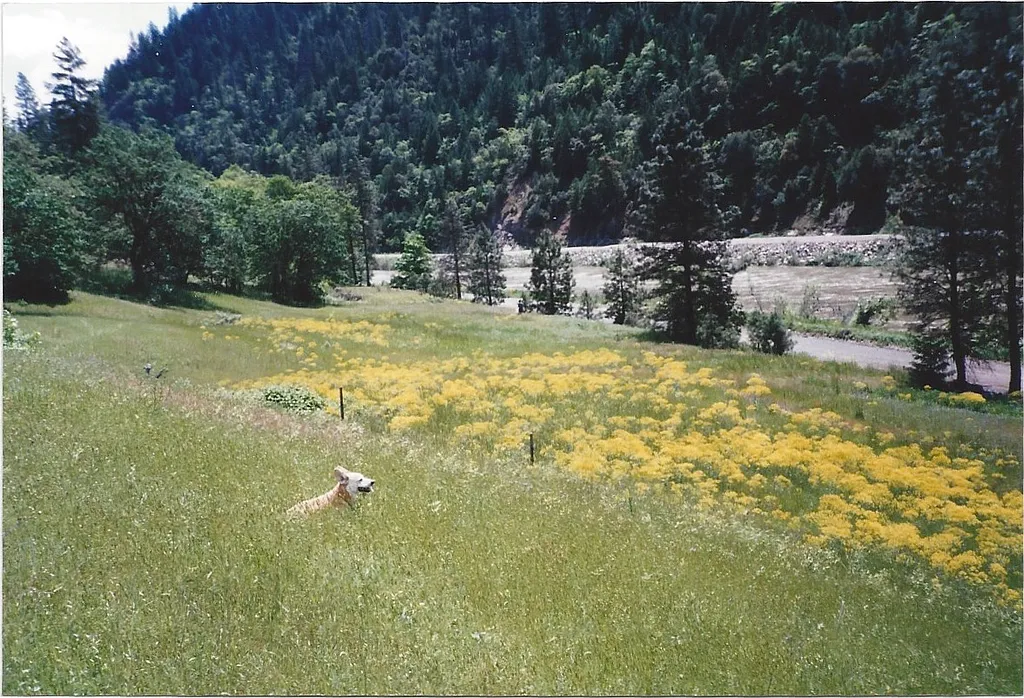 Property photo 3
