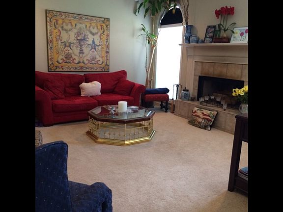 Den w/gas starter fire place