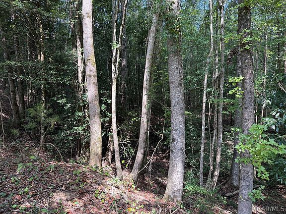 4th image of 0 County Road 79