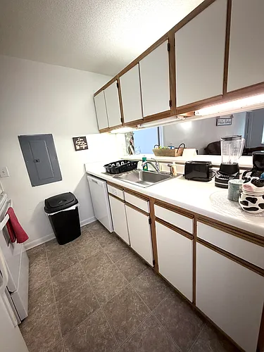 1341 Crab Orchard Dr Photo 1