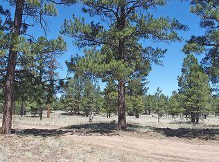 L33 Andesite Rd, Grants, NM 87020