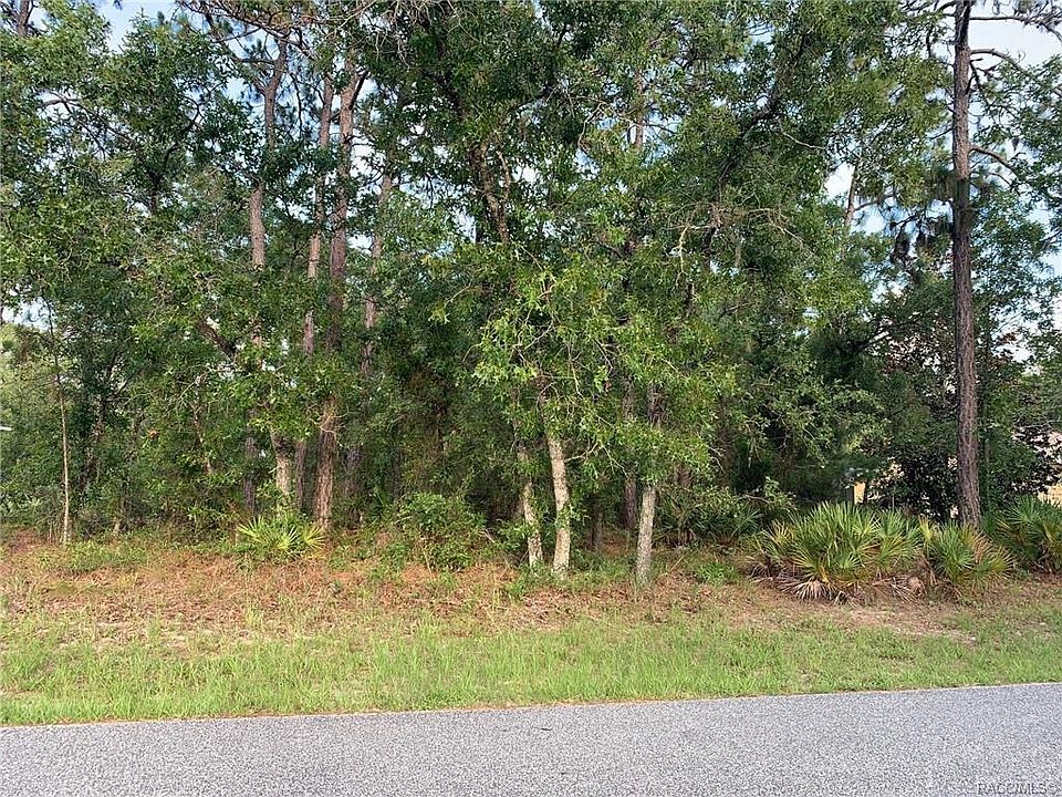 2nd image of 99 Daisy St
